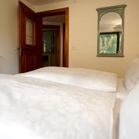 Wellnesshotel Mein Almhof Superior فندق 4*