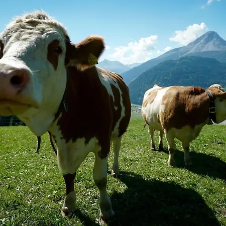 Wellnesshotel Mein Almhof Superior Nauders